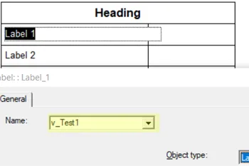 Display Variable